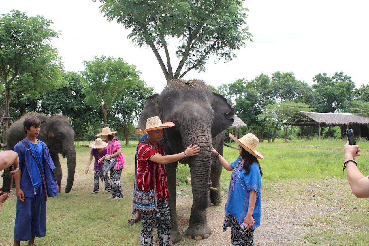 Half-day Bangkok Elephant Park 🐘 [adult]_4