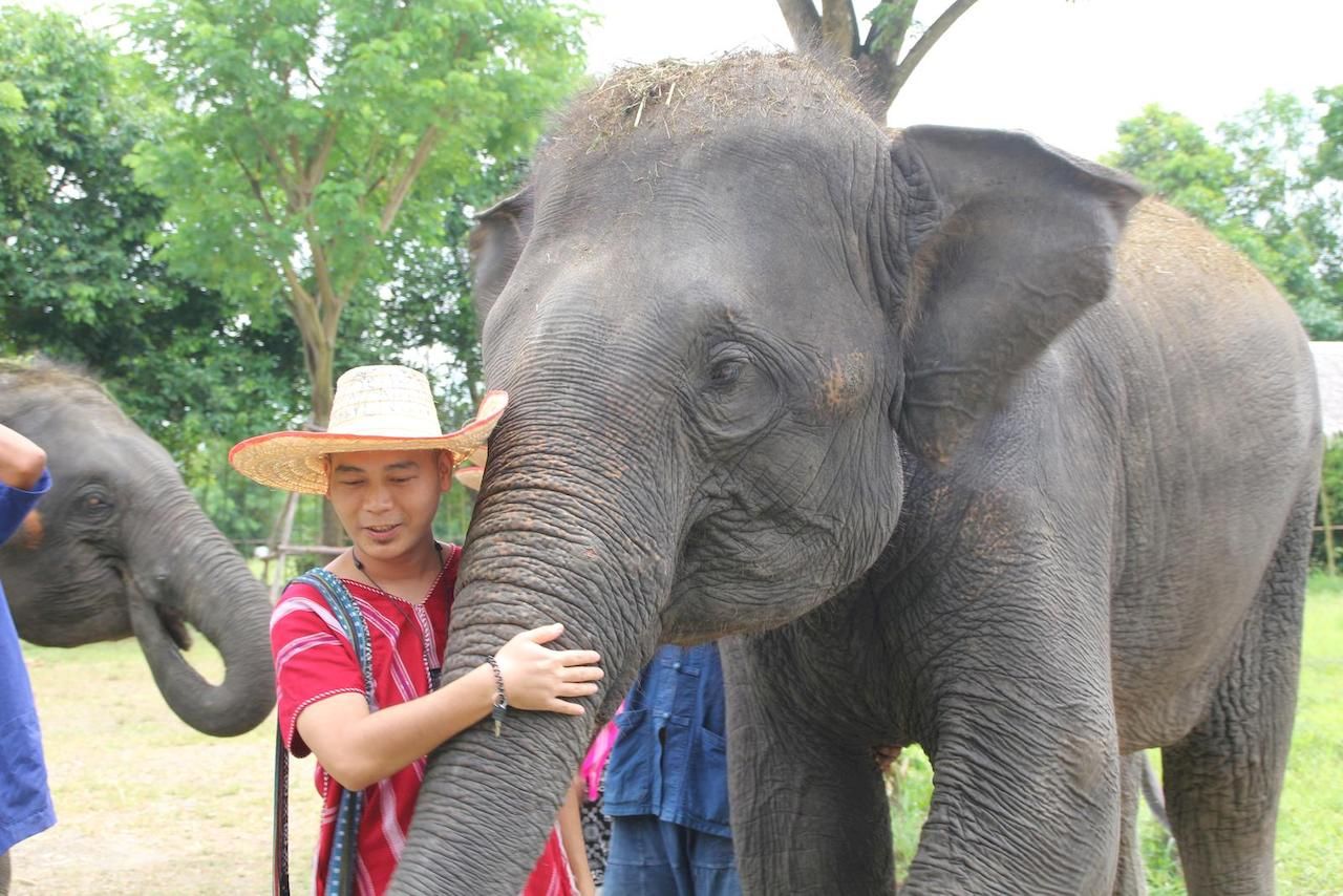 Half-day Bangkok Elephant Park 🐘 [adult]_5