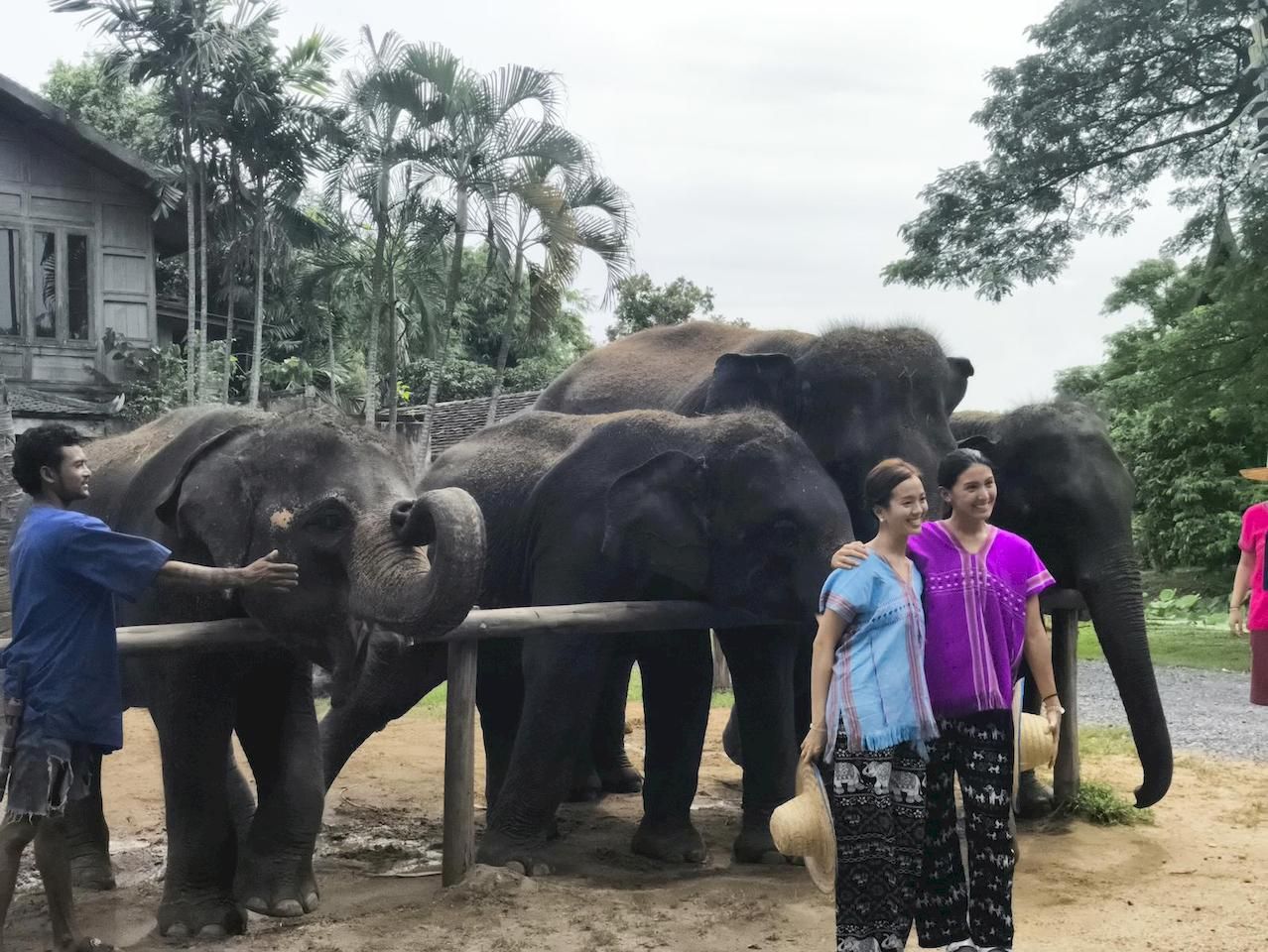 Half-day Bangkok Elephant Park 🐘 [adult]_2