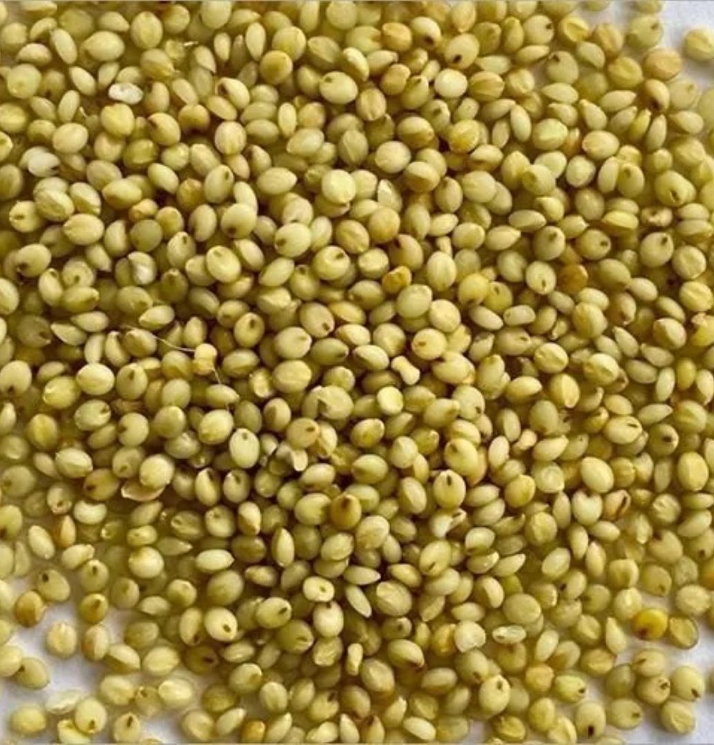 Aandu Korralu (Brown Top Millets) 1 kg_0