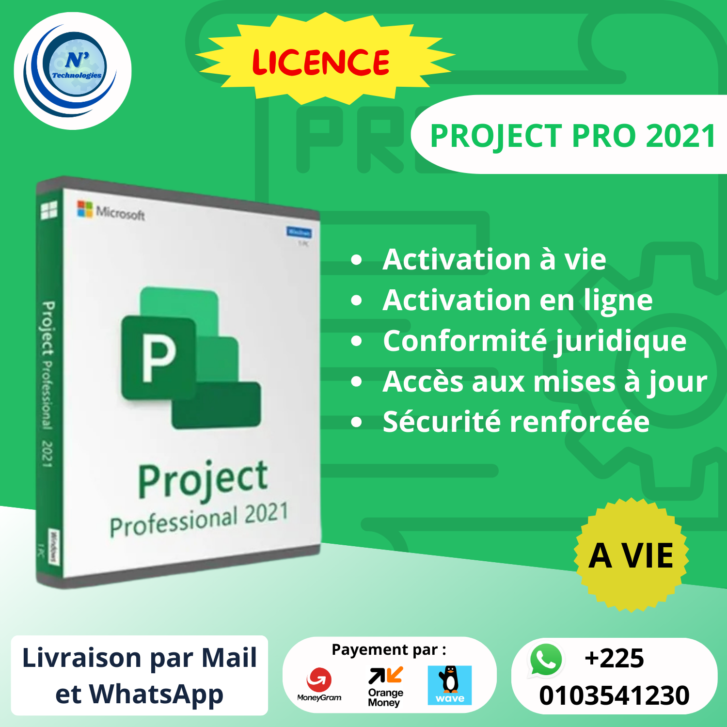 MICROSOFT PRJECT PRO_0