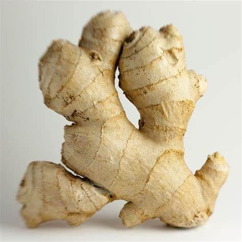 Gingembre / Ginger_0