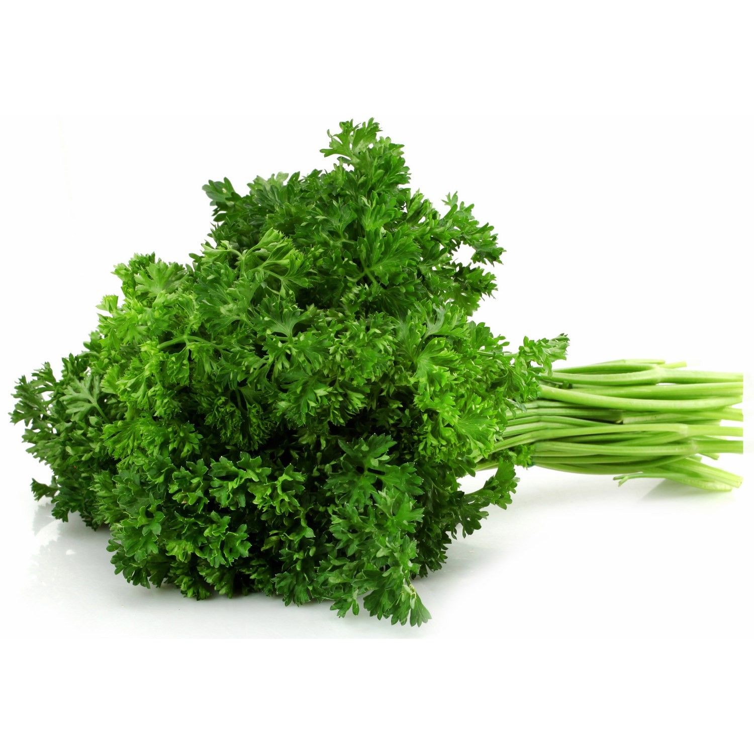 Persil / Parsley _0