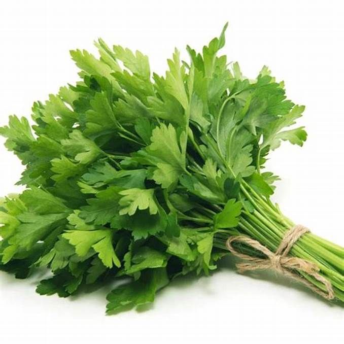 Persil / Parsley _1