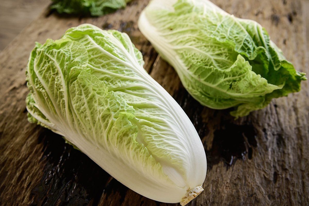 Petsaille / Chinese Cabbage _0