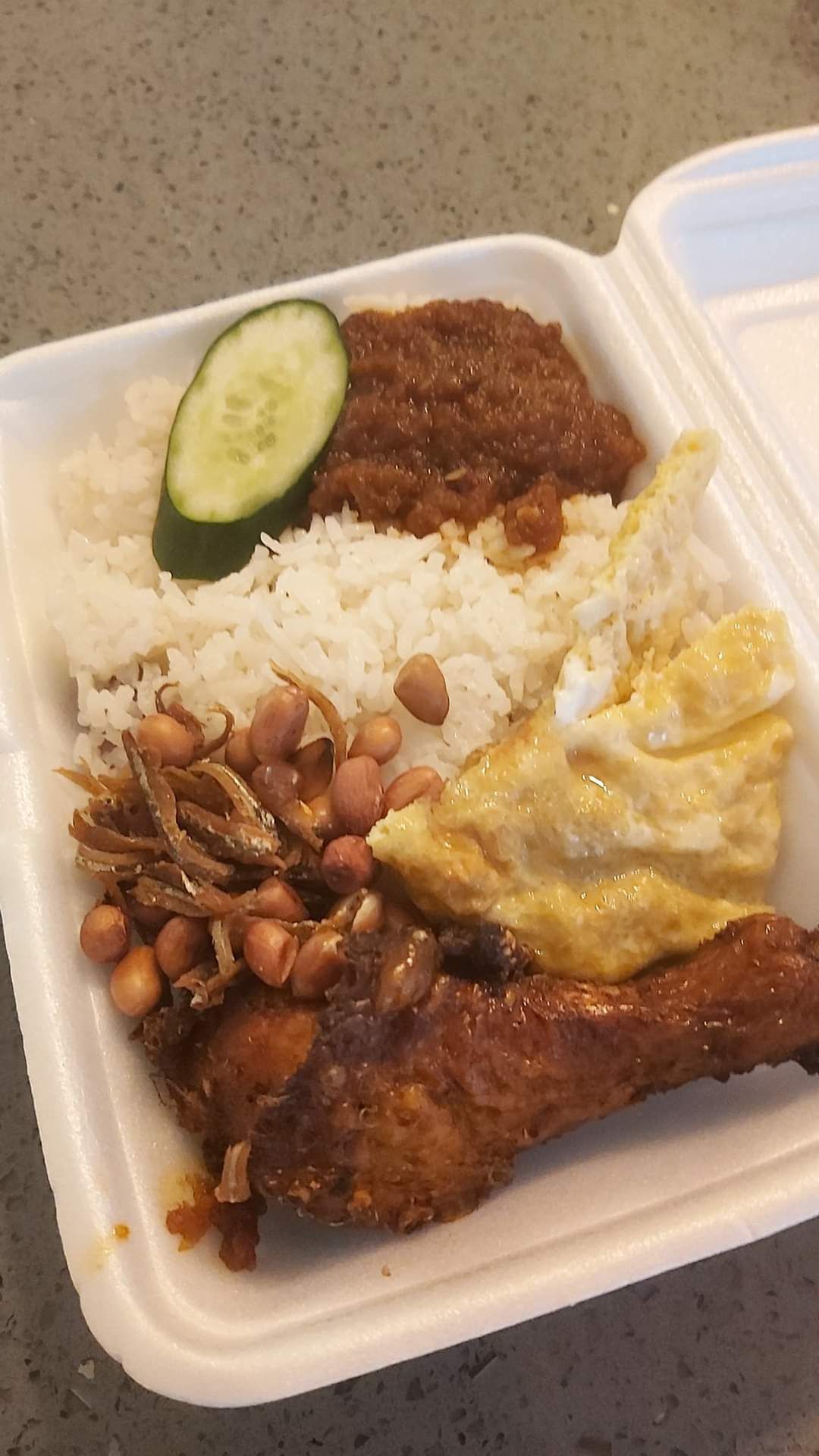 Nasi lemak_0