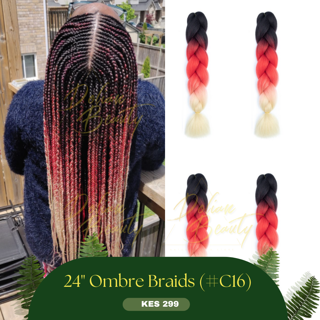 Ombre Braids_2