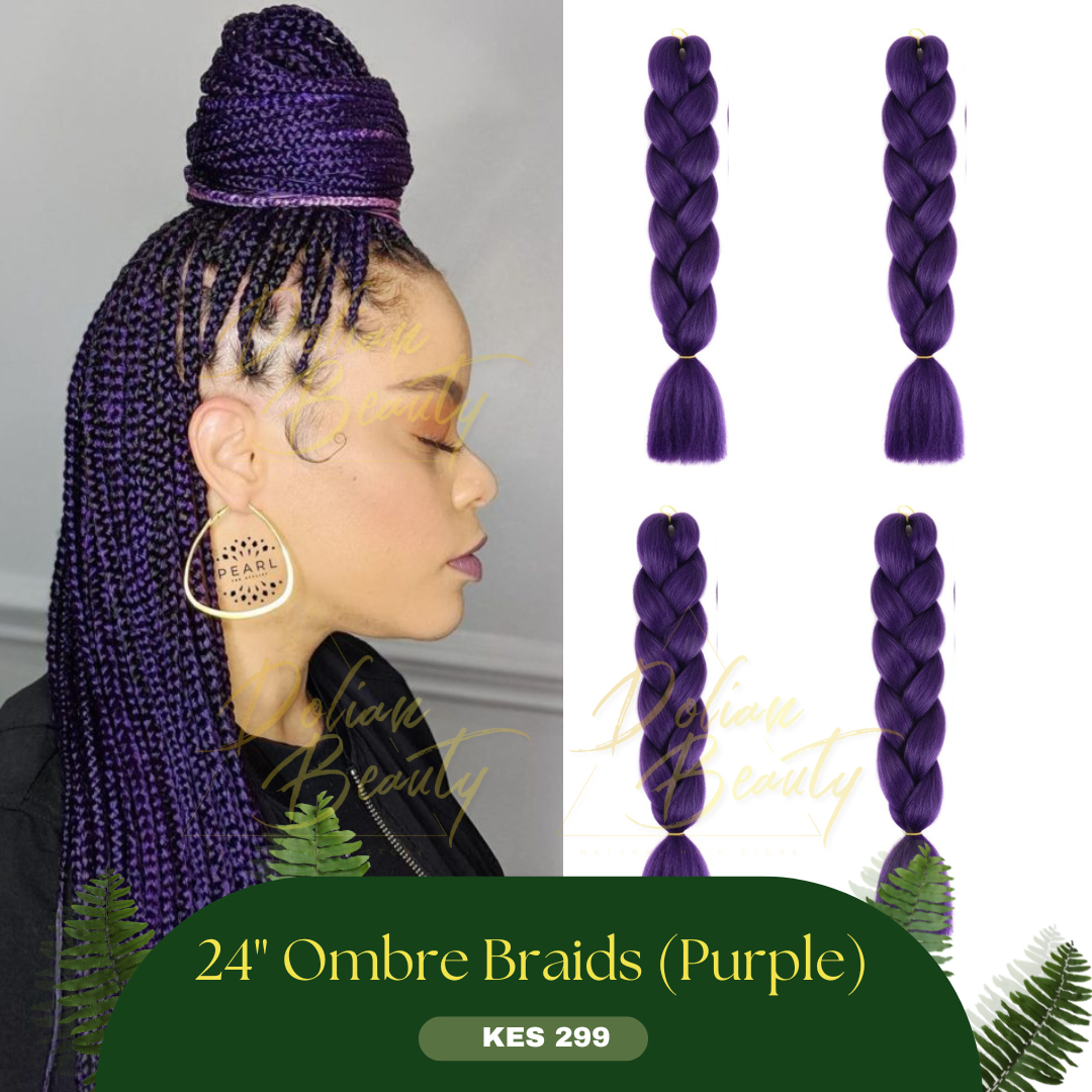 Ombre Braids_3