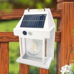 Solar Wall Light with PIR_1