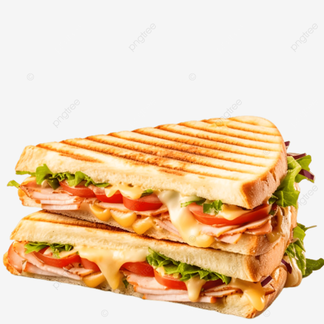 Grilled panini (Ham/chicken/turkey _0