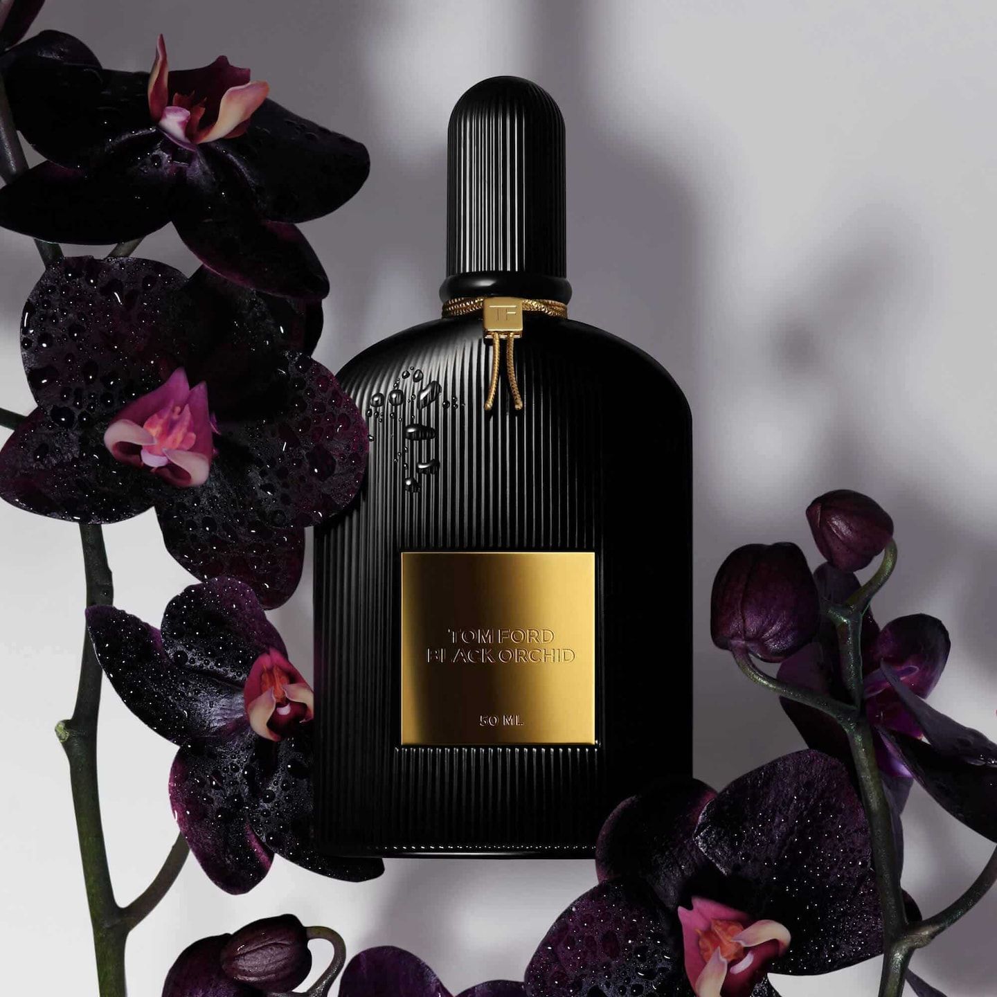 BLACK ORCHID TOMFORD _1