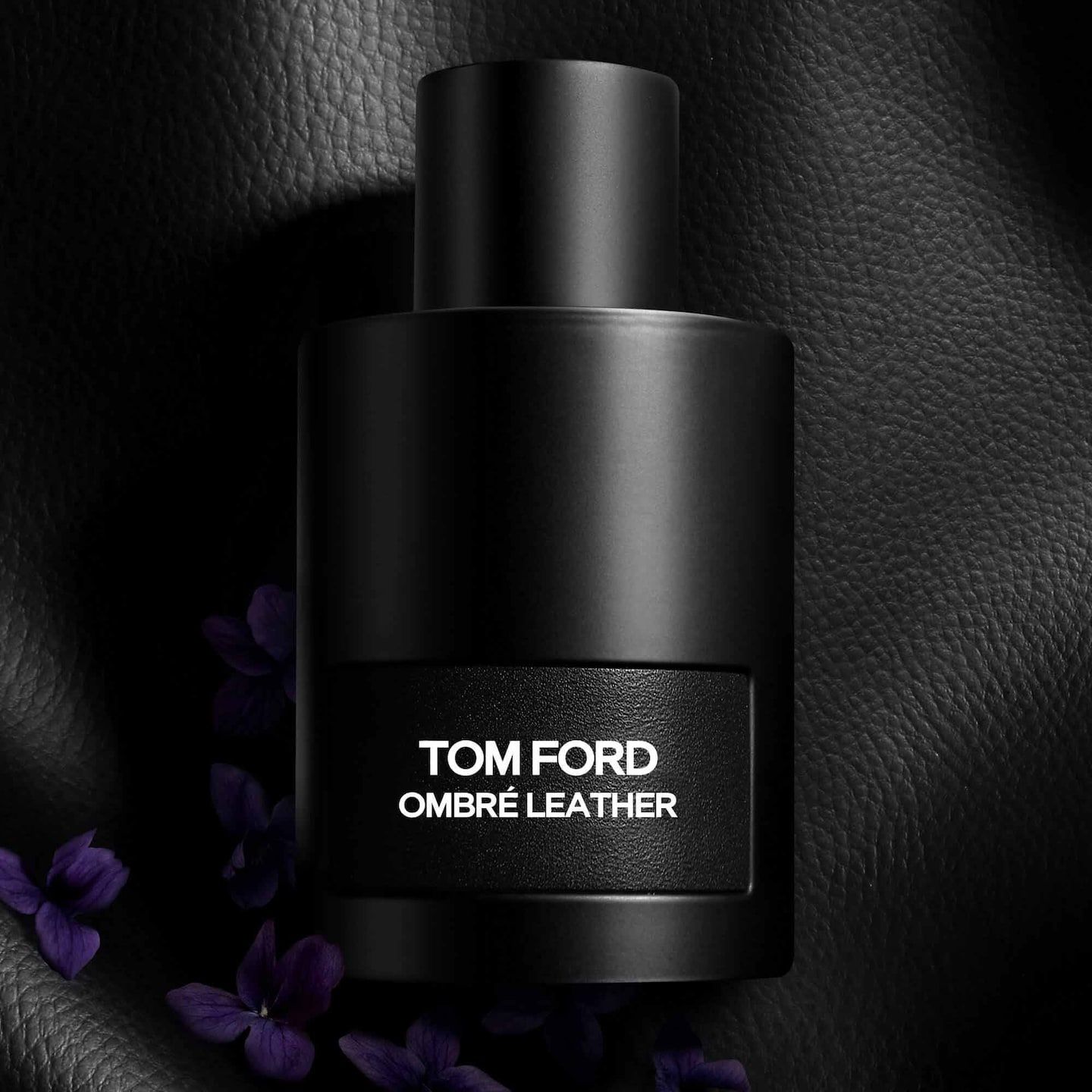 OMBRE LEATHER TOMFORD _1