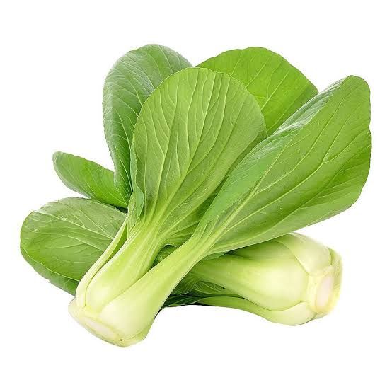 Pak Choi _0