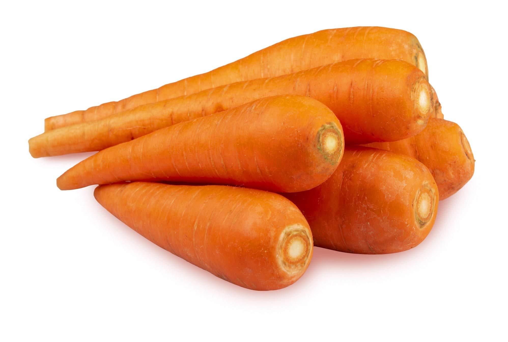 Carrot_0