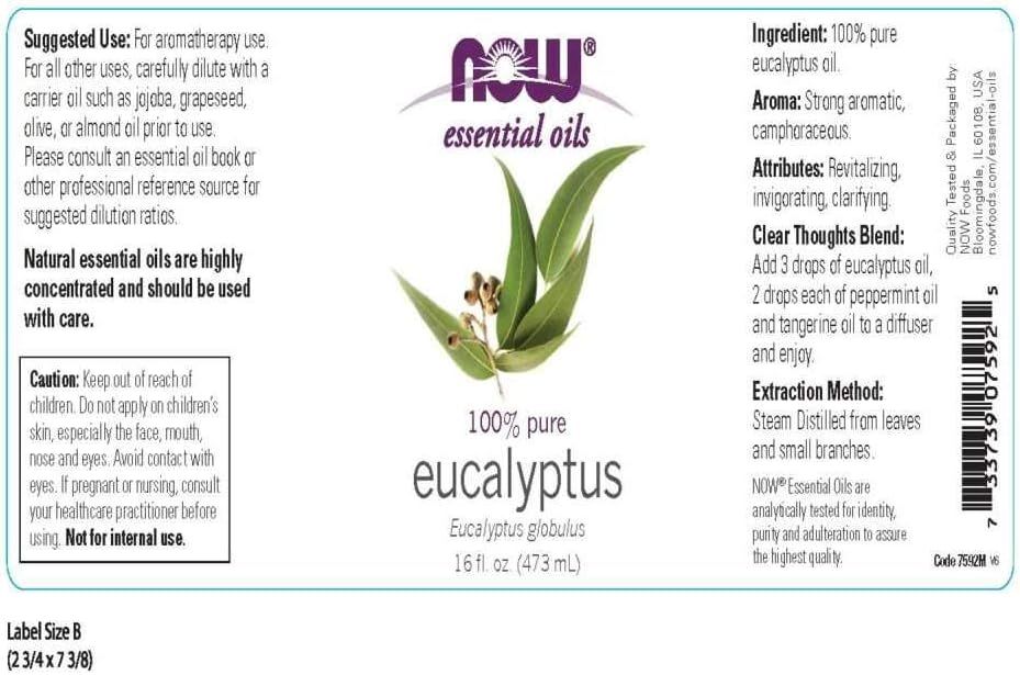 NOW EUCALYPTUS OIL  16 OZ_1