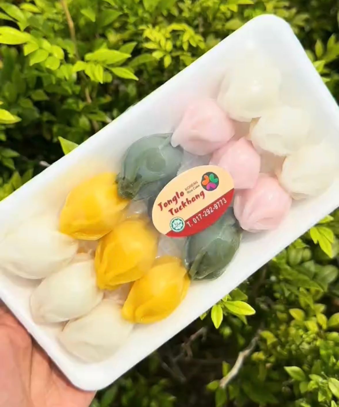 Kkultteok (Rice Cake + Honey)_0