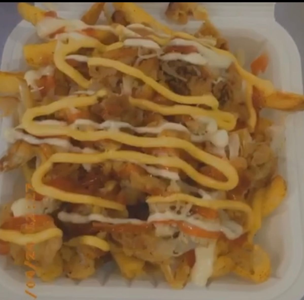 Loaded fries (small)_0