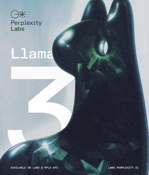 Perplexity Pro _5