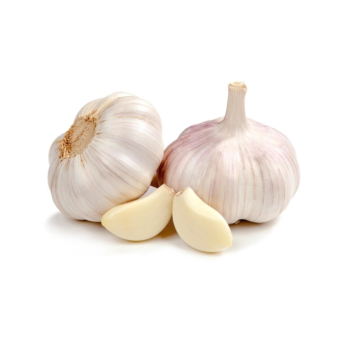 Garlic_0