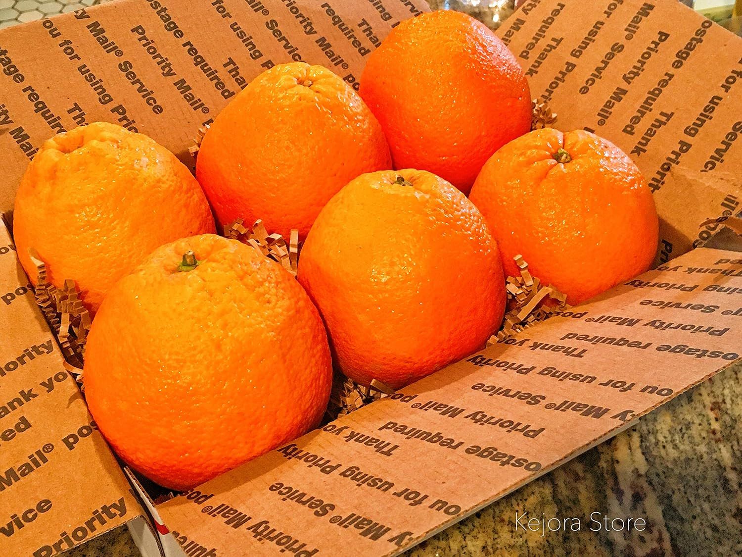 Organic Fresh Orange_2