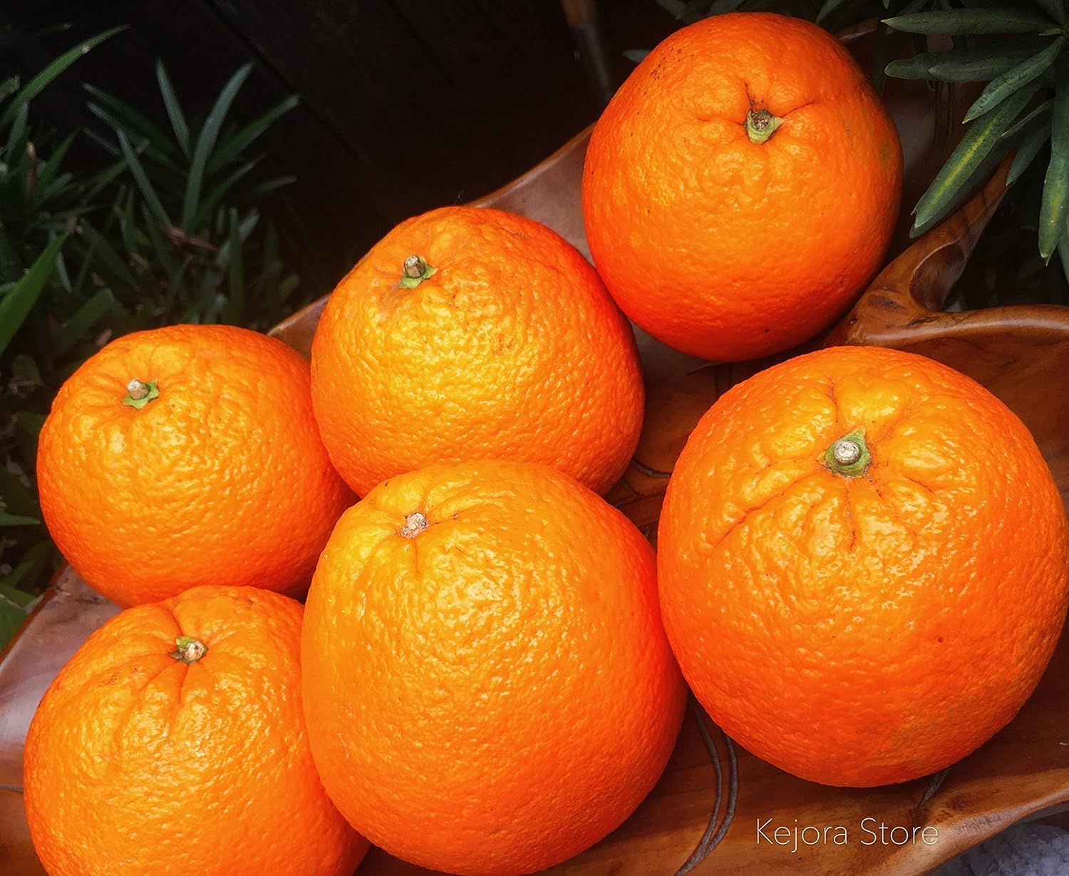 Organic Fresh Orange_3