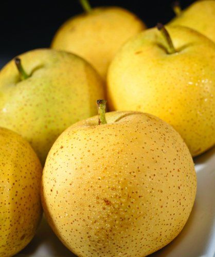 Organic Fresh Pears_2