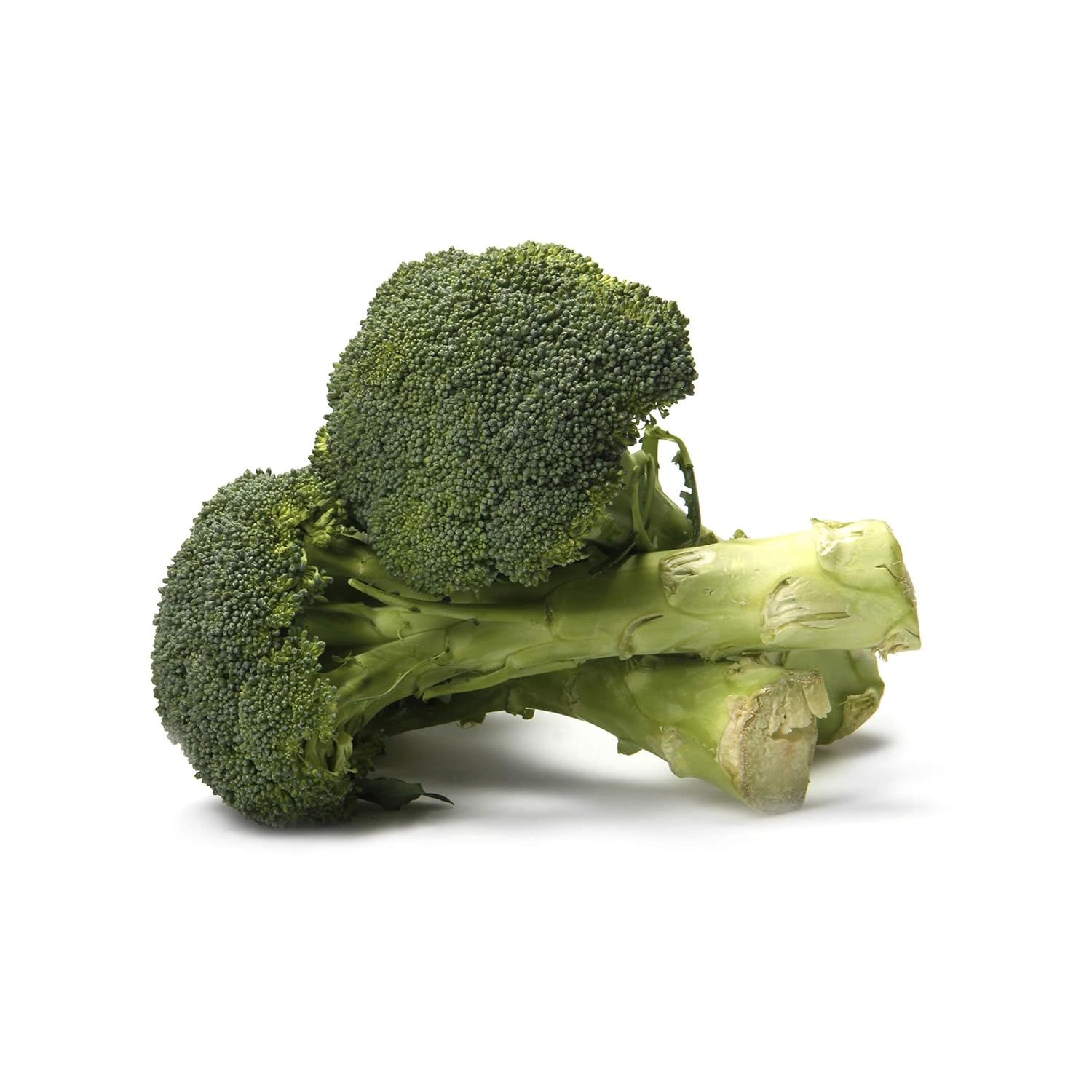 Organic Fresh Broccoli_1