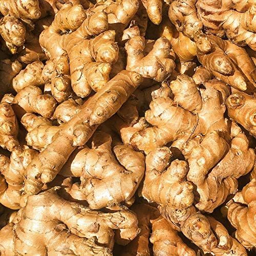 Organic Fresh Ginger Root (अदुवा)_1