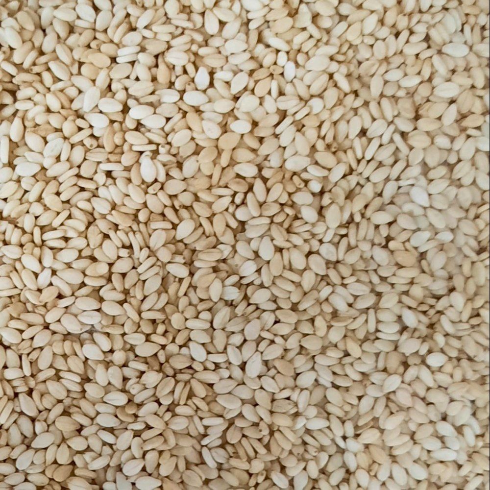 Choice White Sesame (Seto Til), 180gm_0