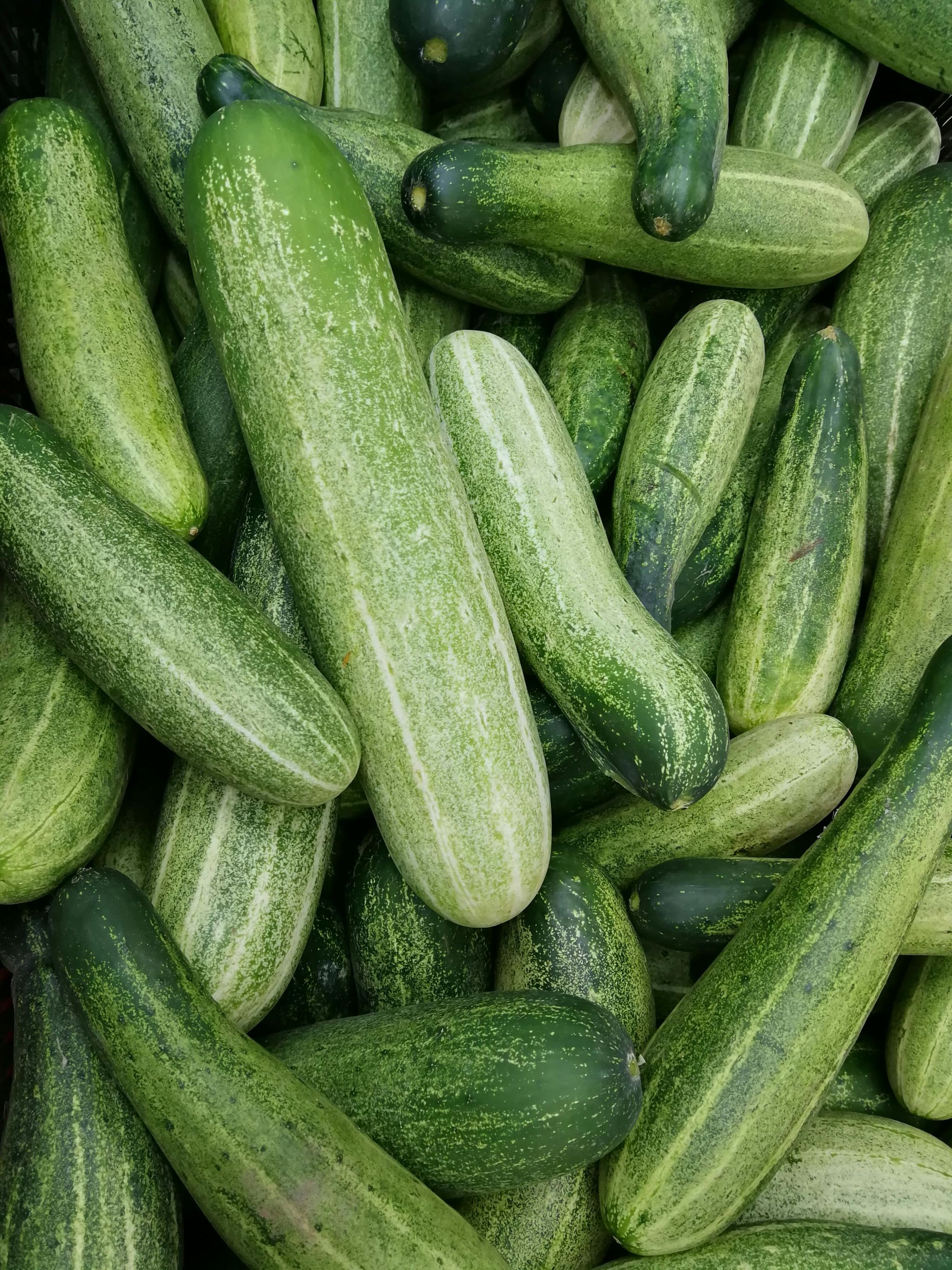 Cucumber _0