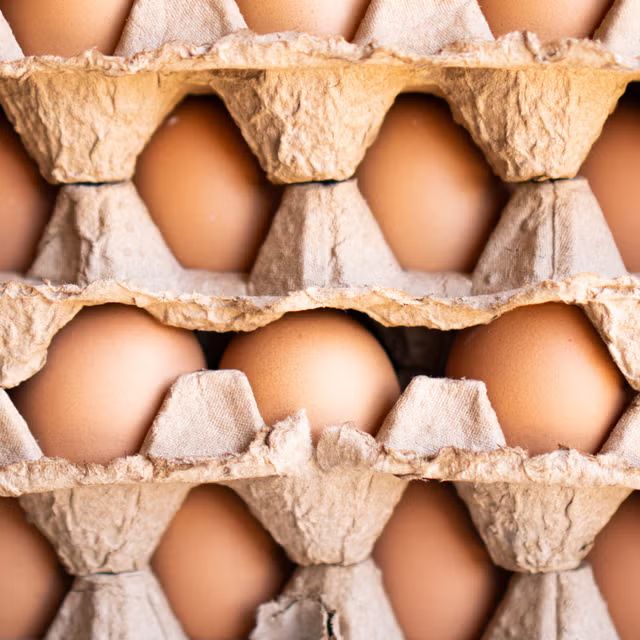 Eggs_1