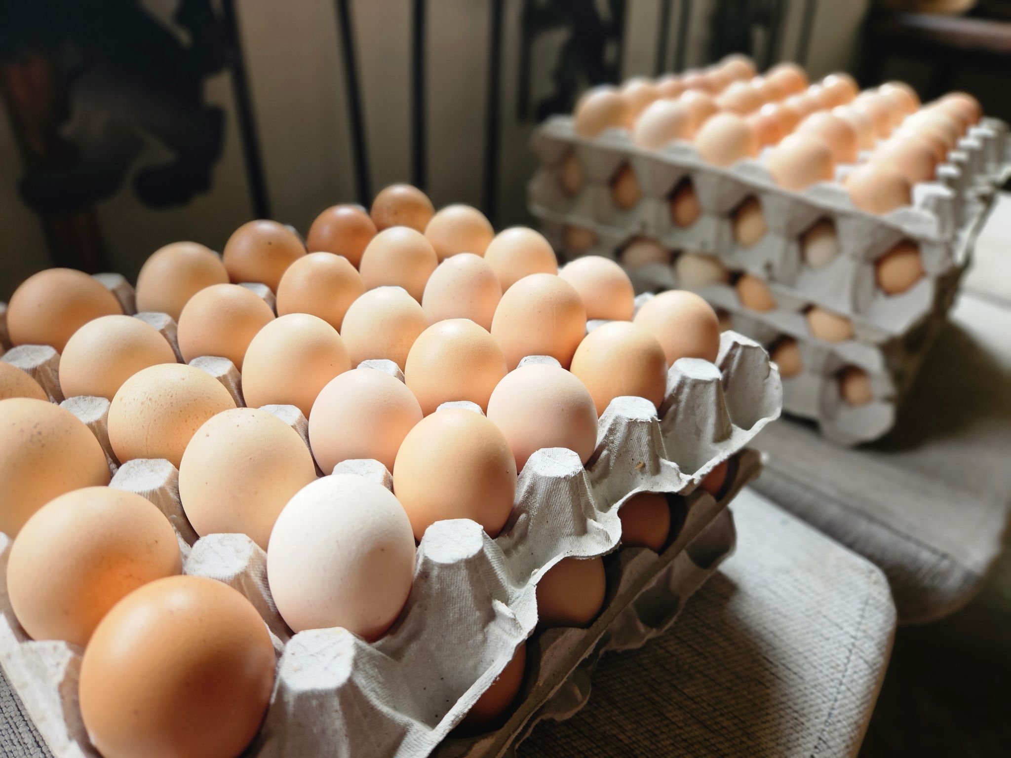 30 x free range eggs_0