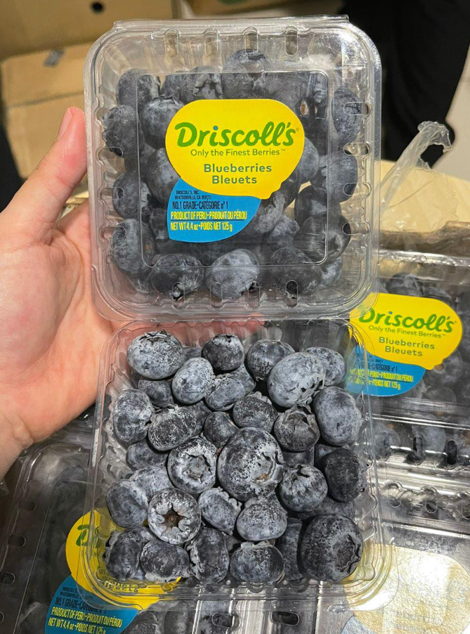 DRISCOLL JUMBO BLUEBERRY (125G)_1