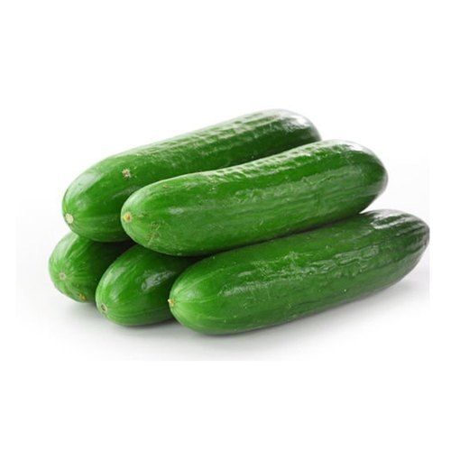 Cucumber Local, 1 Kg_0