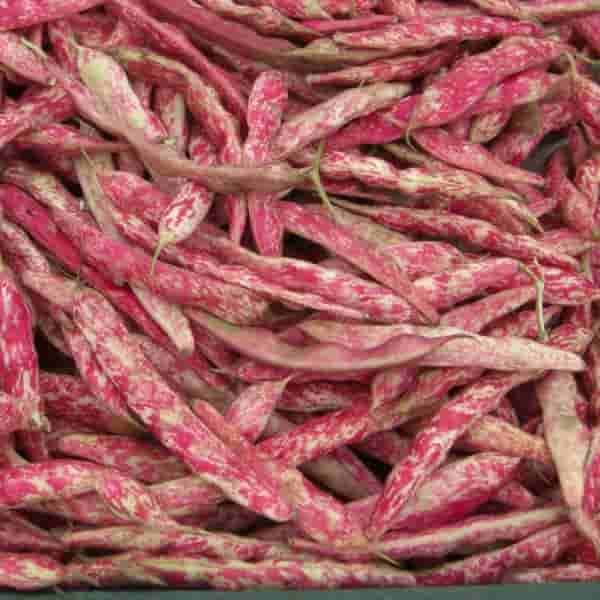 Bakulla Simi Red, 1kg _0