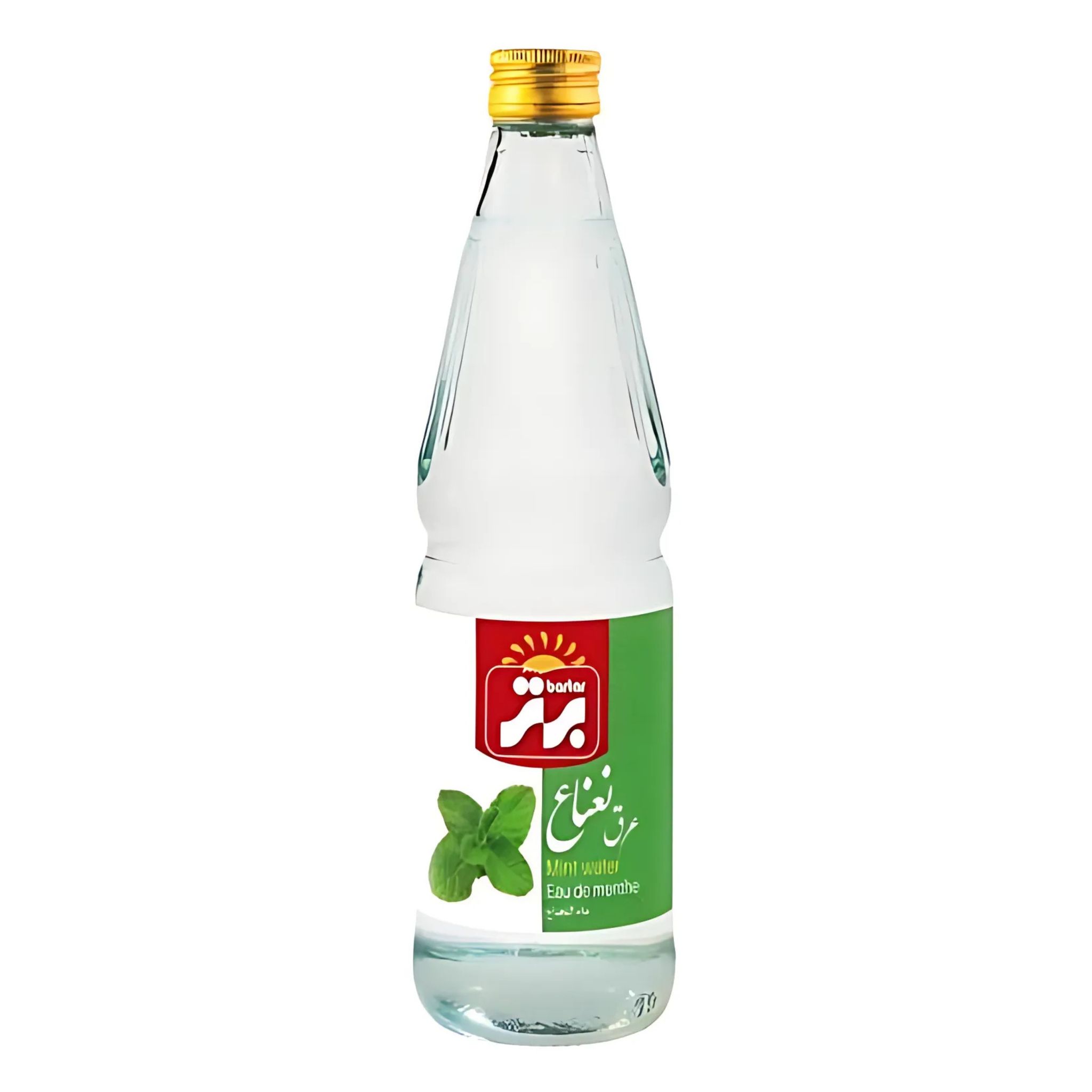 Mint Water_0