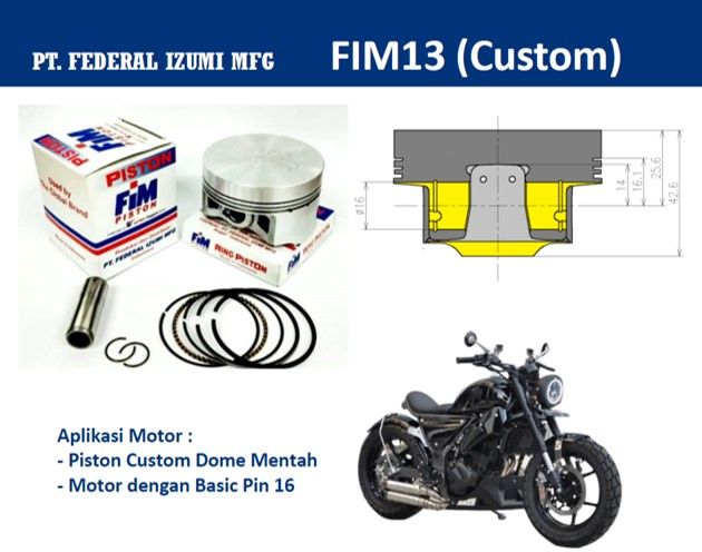 FIM13-200_0