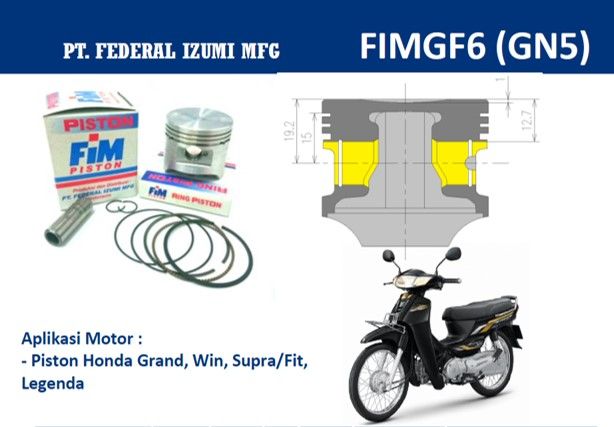 FIMGF6-200_0