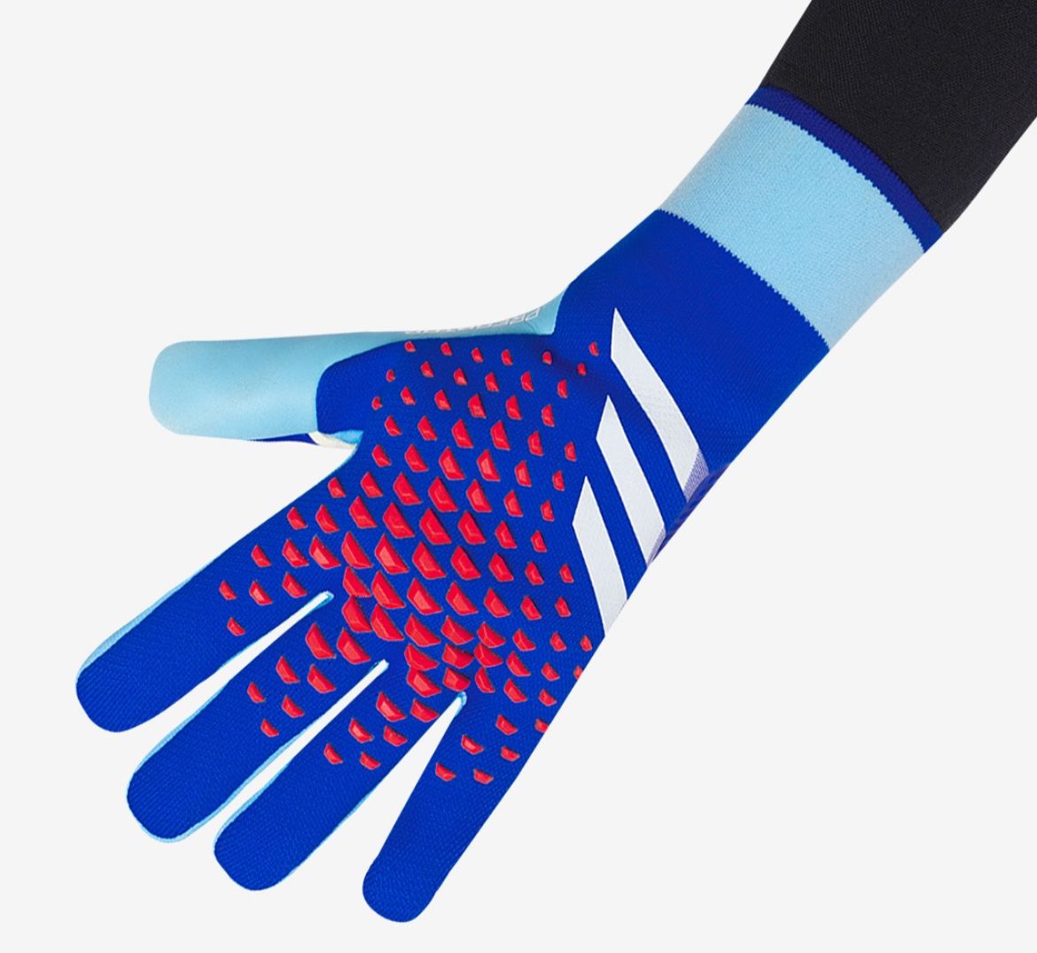 Adidas Predator Accuracy Pro GK Gloves_1