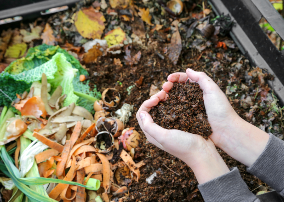 Compost et amendements organiques_1