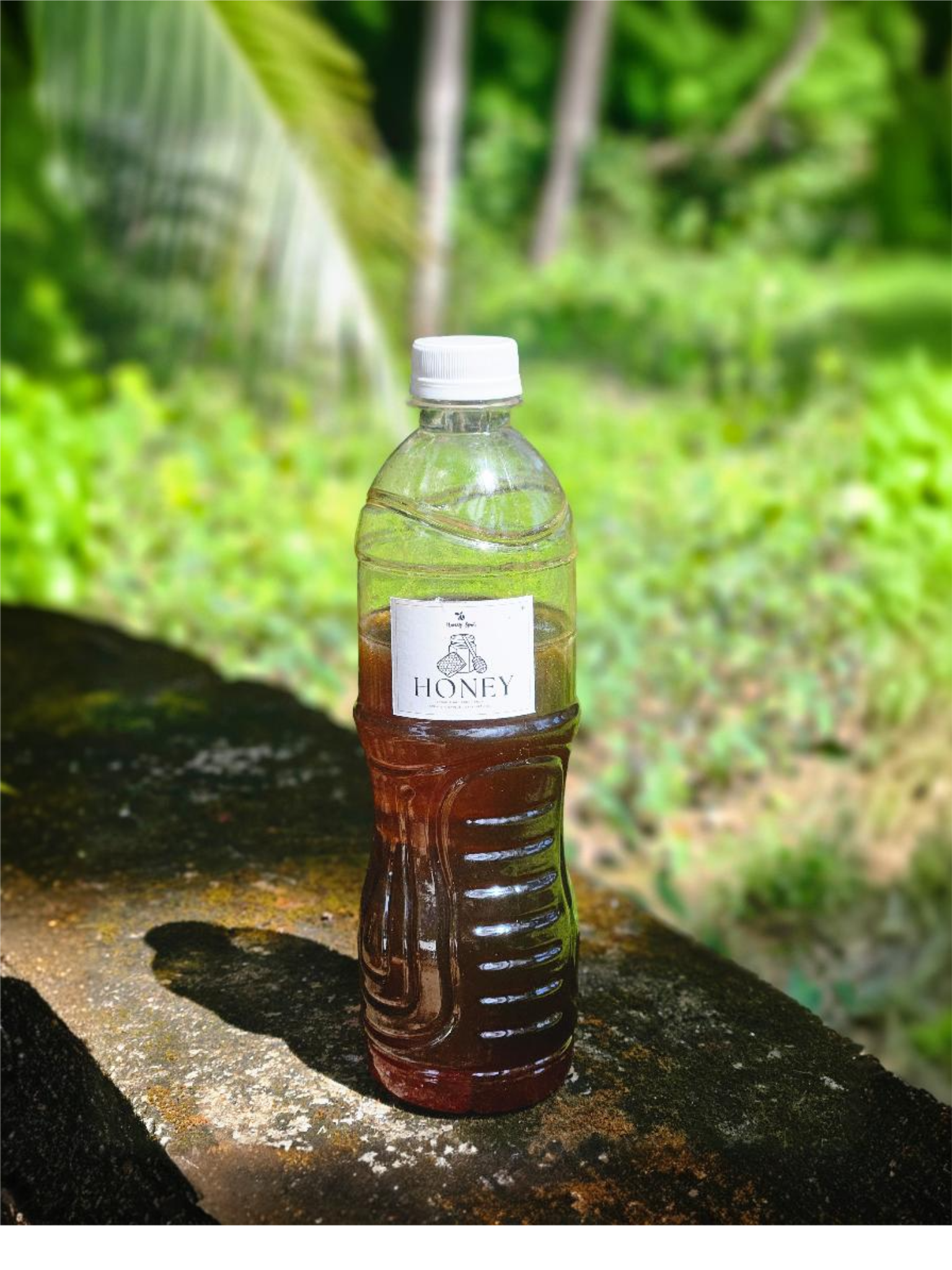 Organic honey 500gm_0