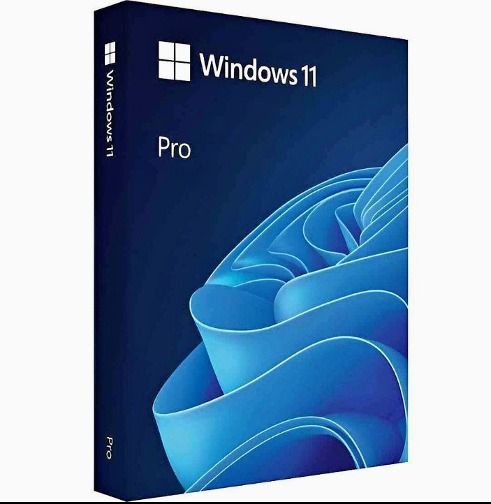 Windows 11 pro with lifetime license _0