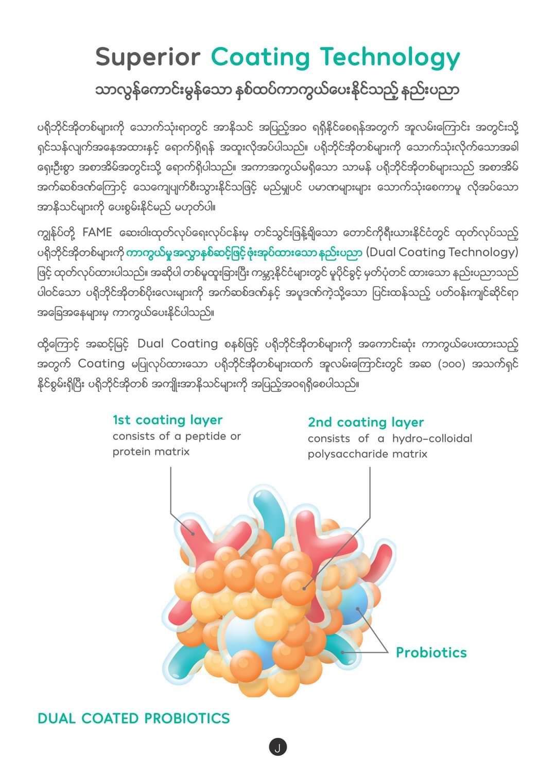Fame_Osteomax (အရိုးသန်မာဆေး) _5