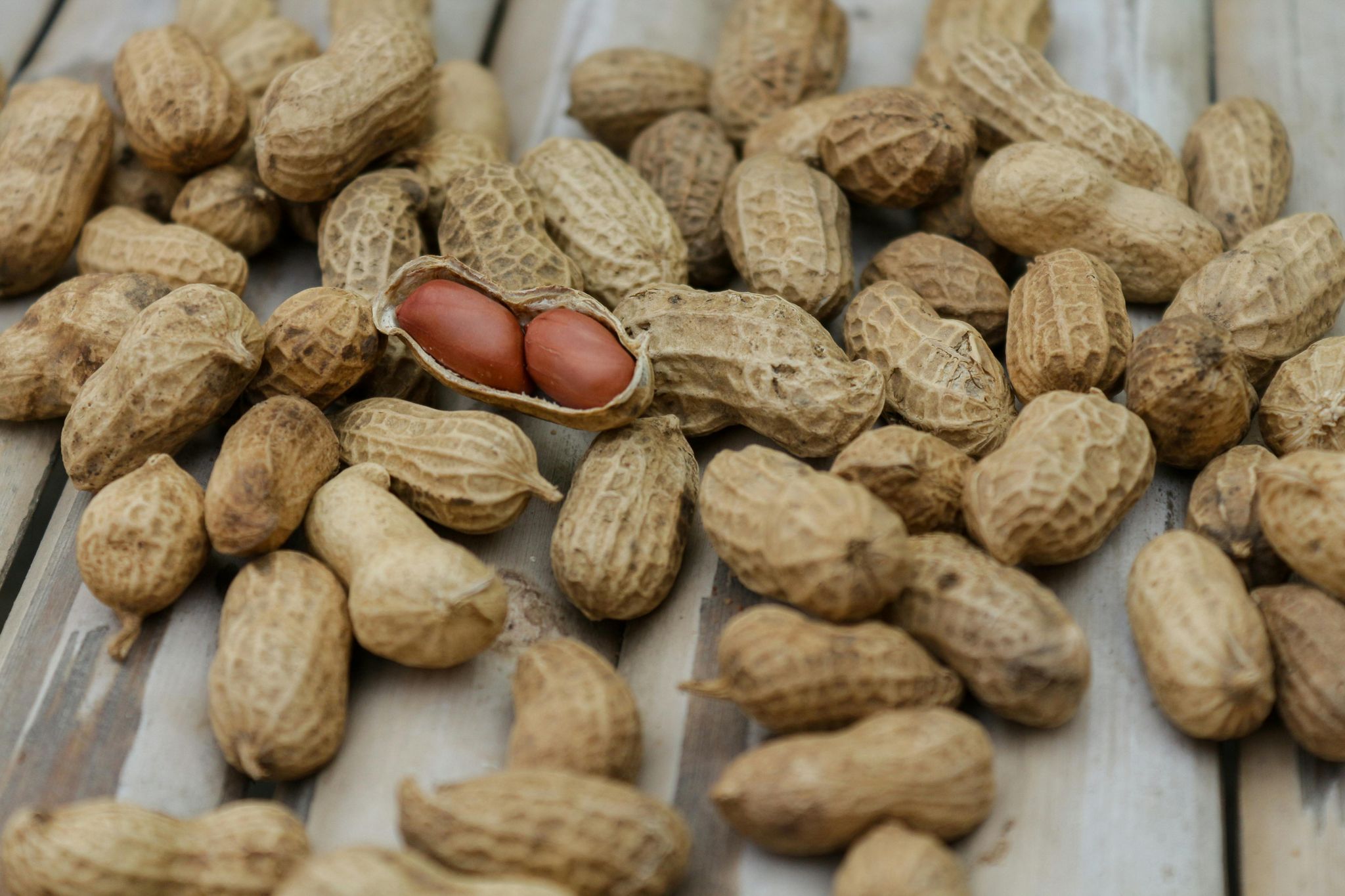 Shelled groundnuts_1