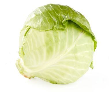 Green Cabbage_0