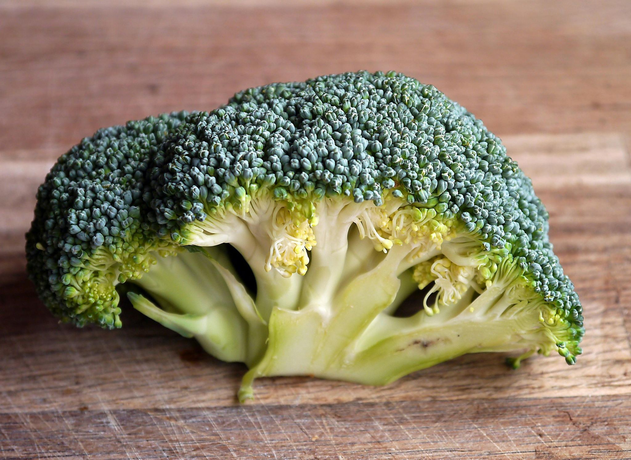 Broccoli_0