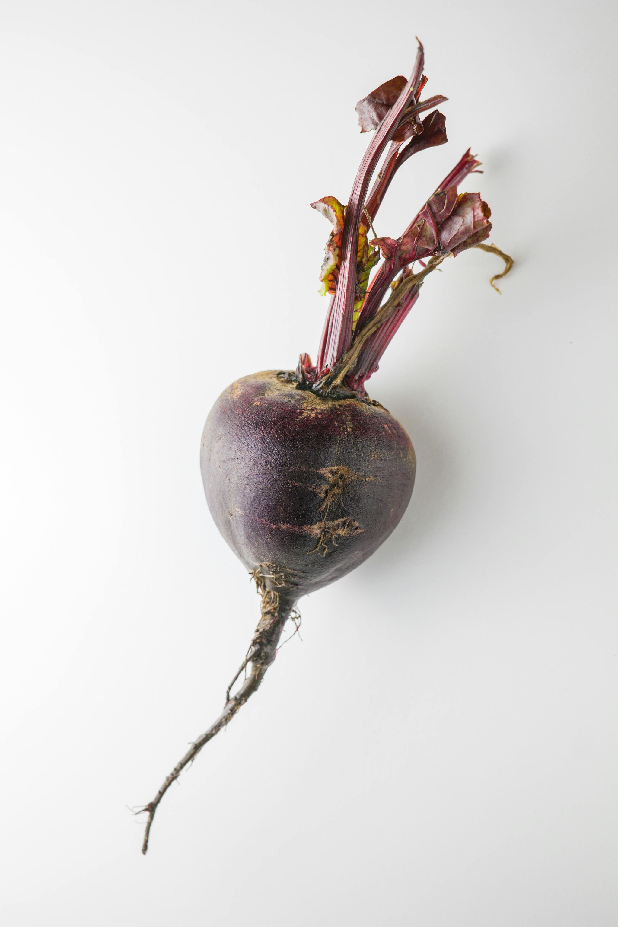 beetroot_1