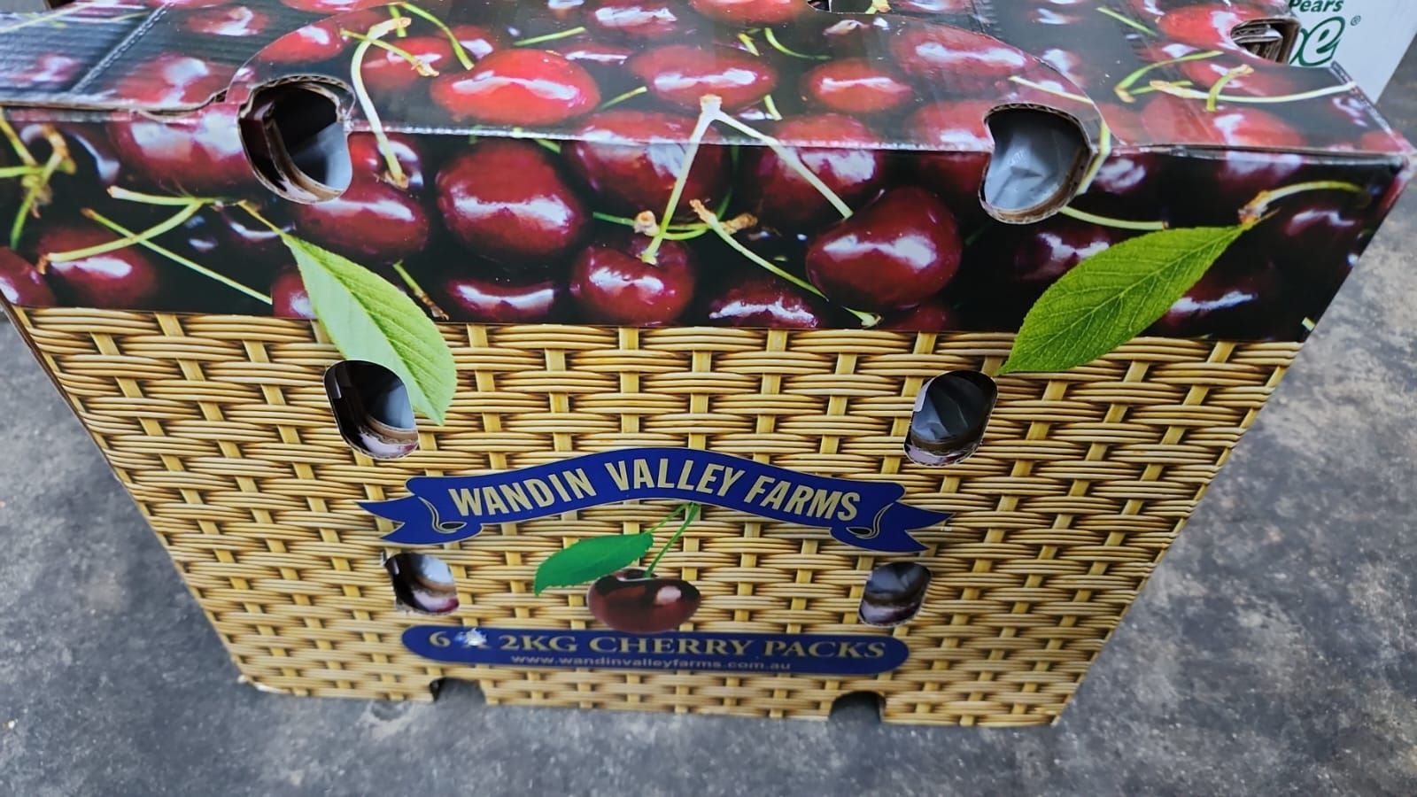 AUS Wanding valley Satina Cherries (~32-34mm) _2