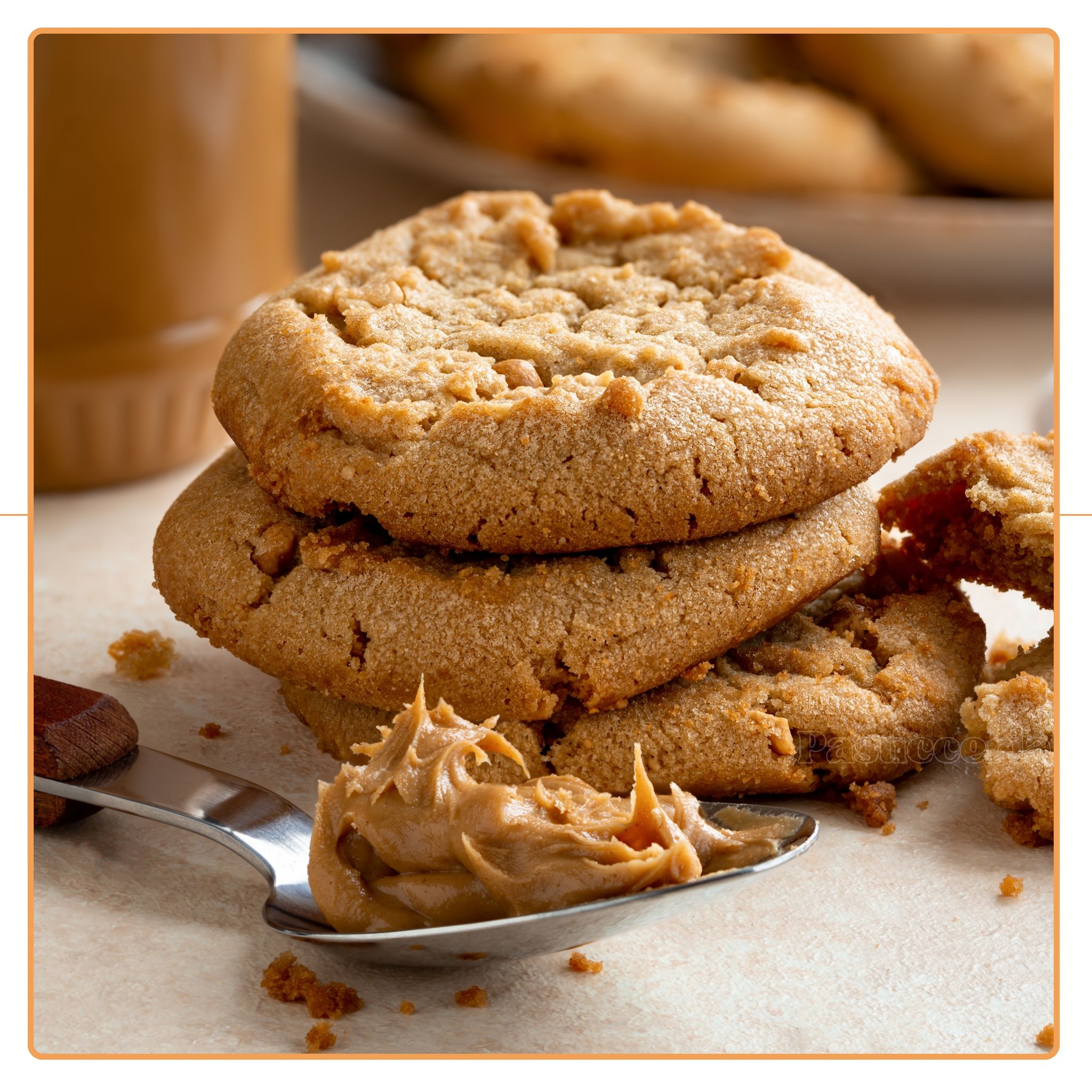 ThePasticceria - Classic  Cashew Butter Cookie_1