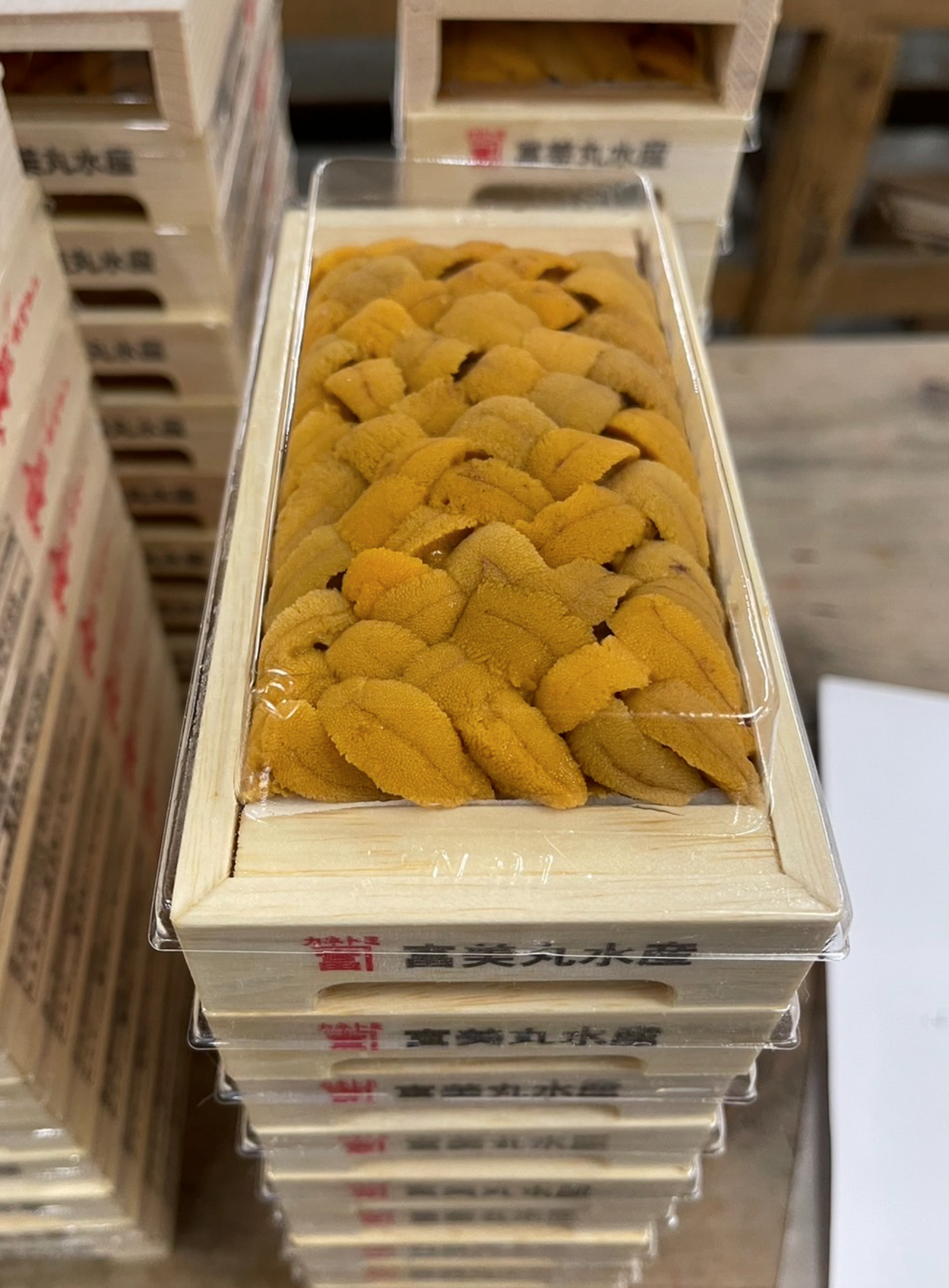 100g '富美丸 Fumimaru' 高級 Bafun Uni_0